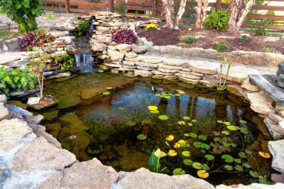 Garden Pond Installation in Ventura County, CA