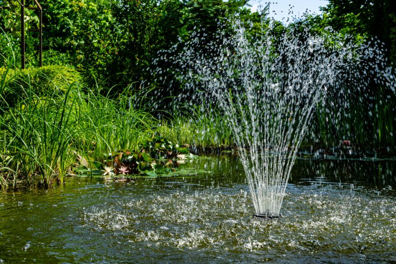 Pond Feature Repair