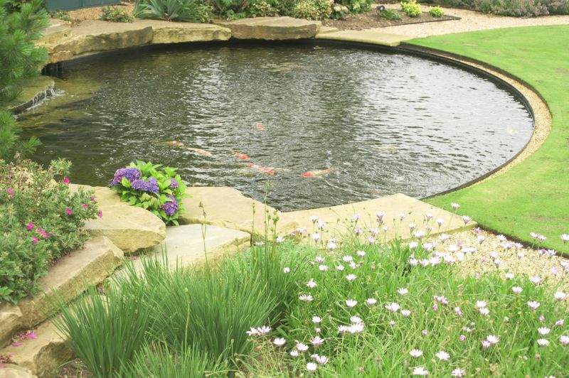 Fish Pond Installation in Honolulu, HI