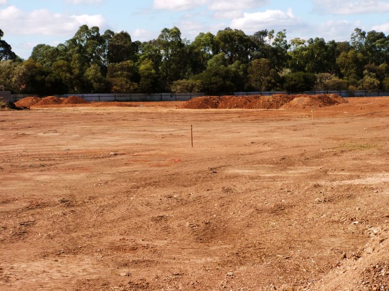 Land Grading in Houston, TX