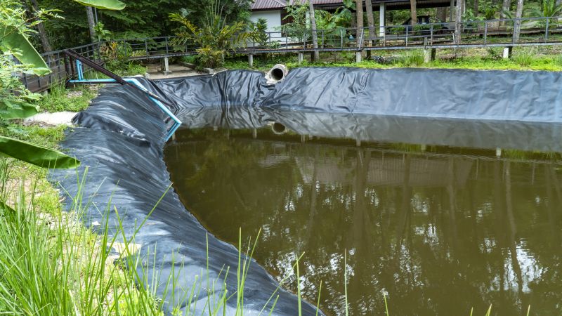 Pond Feature Repair