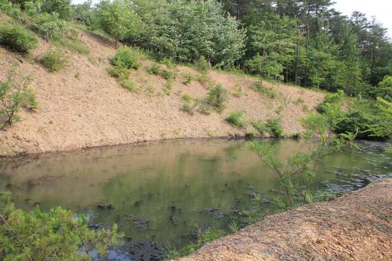 Damaged Pond Edges